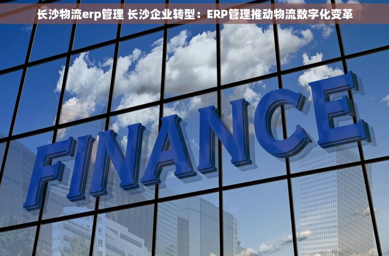 长沙物流erp管理 长沙企业转型：ERP管理推动物流数字化变革