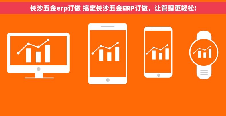 长沙五金erp订做 搞定长沙五金ERP订做，让管理更轻松!