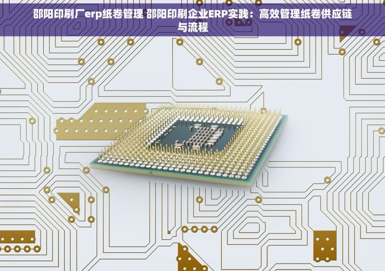 邵阳印刷厂erp纸卷管理 邵阳印刷企业ERP实践：高效管理纸卷供应链与流程