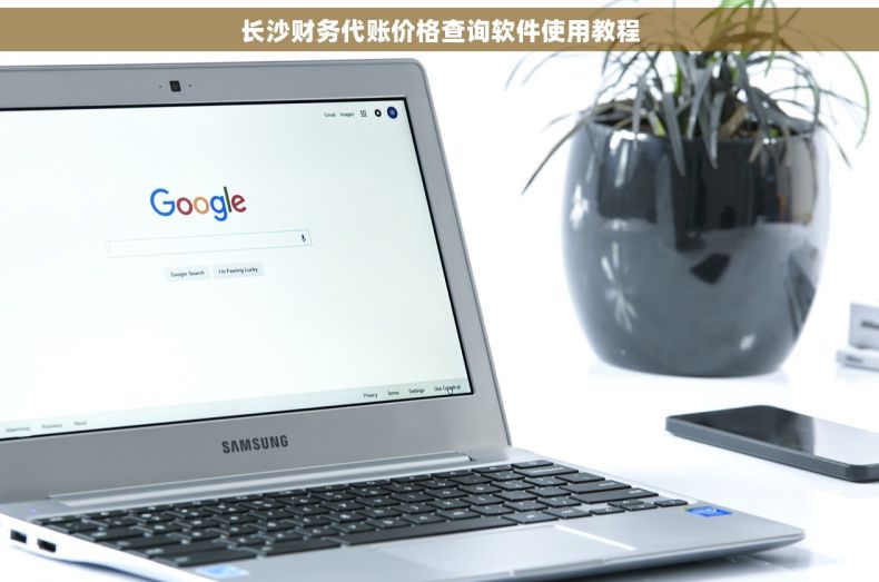 长沙财务代账价格查询软件使用教程