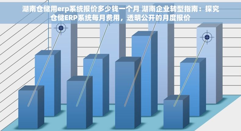 湖南仓储用erp系统报价多少钱一个月 湖南企业转型指南：探究仓储ERP系统每月费用，透明公开的月度报价