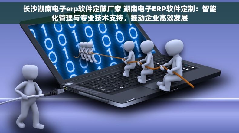 长沙湖南电子erp软件定做厂家 湖南电子ERP软件定制：智能化管理与专业技术支持，推动企业高效发展