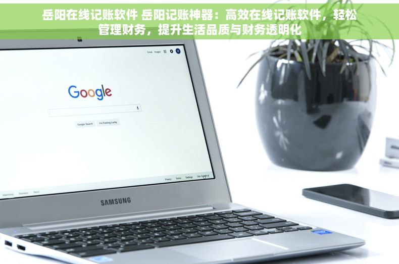 岳阳在线记账软件 岳阳记账神器：高效在线记账软件，轻松管理财务，提升生活品质与财务透明化