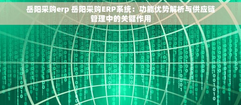 岳阳采购erp 岳阳采购ERP系统：功能优势解析与供应链管理中的关键作用