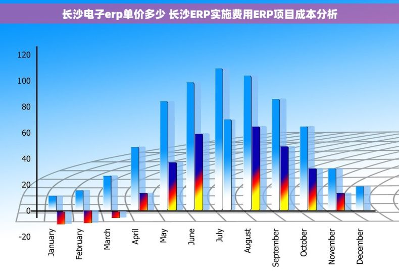 长沙电子erp单价多少 长沙ERP实施费用ERP项目成本分析