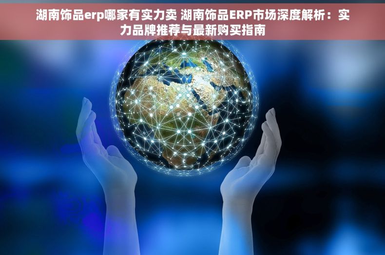 湖南饰品erp哪家有实力卖 湖南饰品ERP市场深度解析：实力品牌推荐与最新购买指南