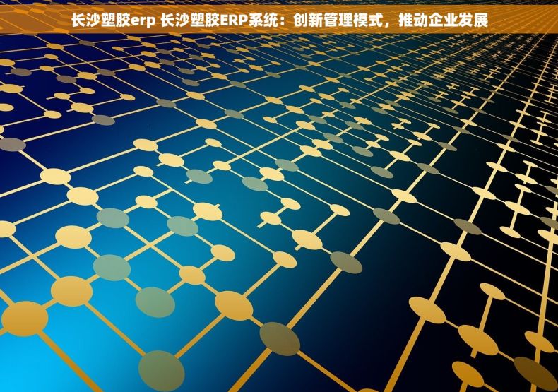 长沙塑胶erp 长沙塑胶ERP系统：创新管理模式，推动企业发展