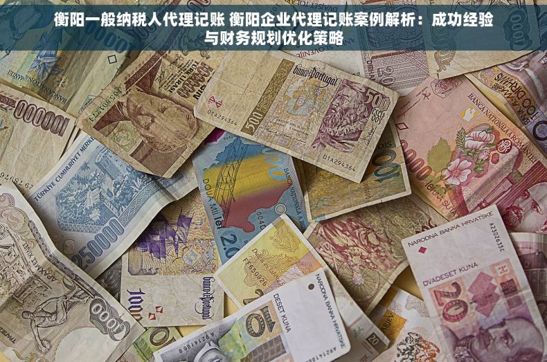 衡阳一般纳税人代理记账 衡阳企业代理记账案例解析：成功经验与财务规划优化策略