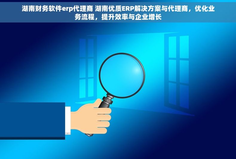 湖南财务软件erp代理商 湖南优质ERP解决方案与代理商，优化业务流程，提升效率与企业增长