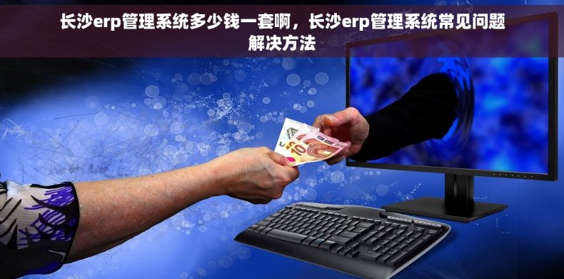 长沙erp管理系统多少钱一套啊，长沙erp管理系统常见问题解决方法