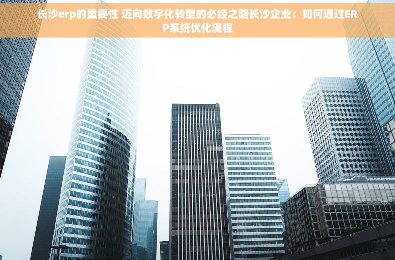 长沙erp的重要性 迈向数字化转型的必经之路长沙企业：如何通过ERP系统优化流程