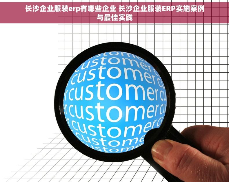 长沙企业服装erp有哪些企业 长沙企业服装ERP实施案例与最佳实践