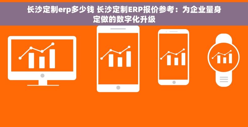 长沙定制erp多少钱 长沙定制ERP报价参考：为企业量身定做的数字化升级
