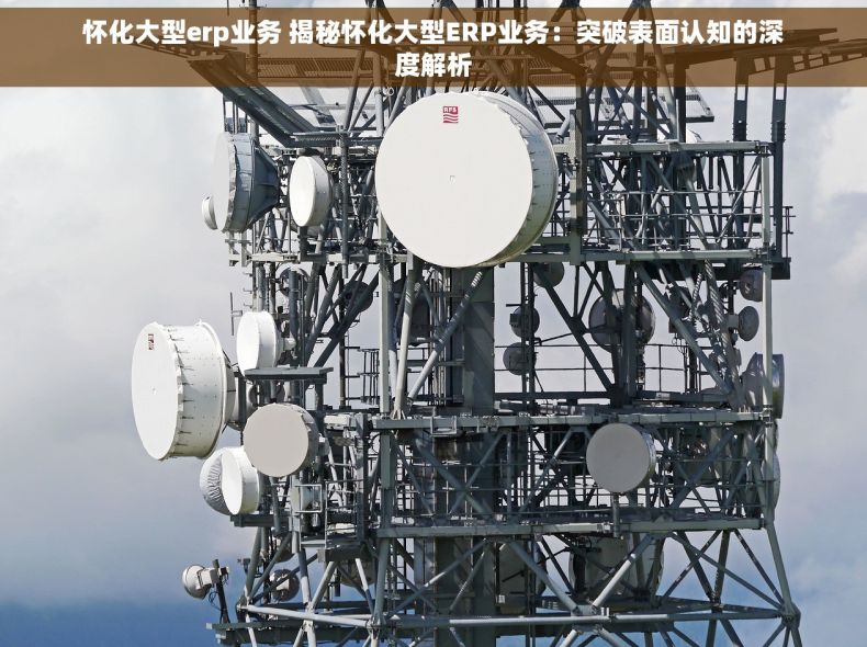 怀化大型erp业务 揭秘怀化大型ERP业务：突破表面认知的深度解析
