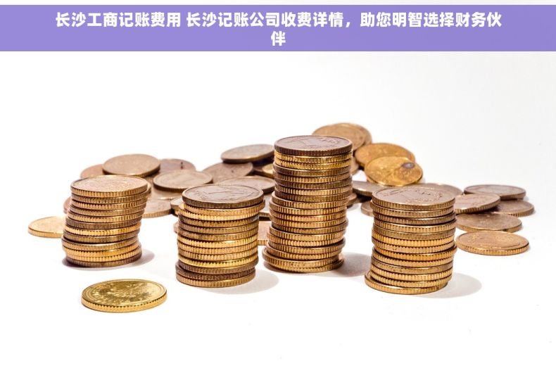 长沙工商记账费用 长沙记账公司收费详情，助您明智选择财务伙伴