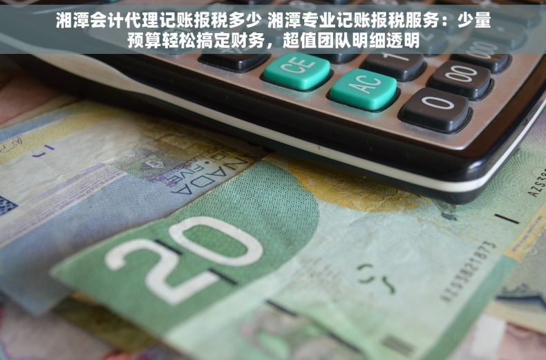 湘潭会计代理记账报税多少 湘潭专业记账报税服务：少量预算轻松搞定财务，超值团队明细透明