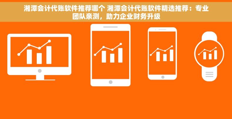 湘潭会计代账软件推荐哪个 湘潭会计代账软件精选推荐：专业团队亲测，助力企业财务升级