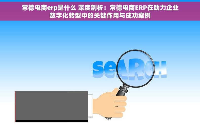 常德电商erp是什么 深度剖析：常德电商ERP在助力企业数字化转型中的关键作用与成功案例