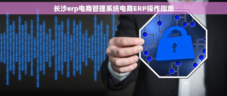 长沙erp电商管理系统电商ERP操作指南