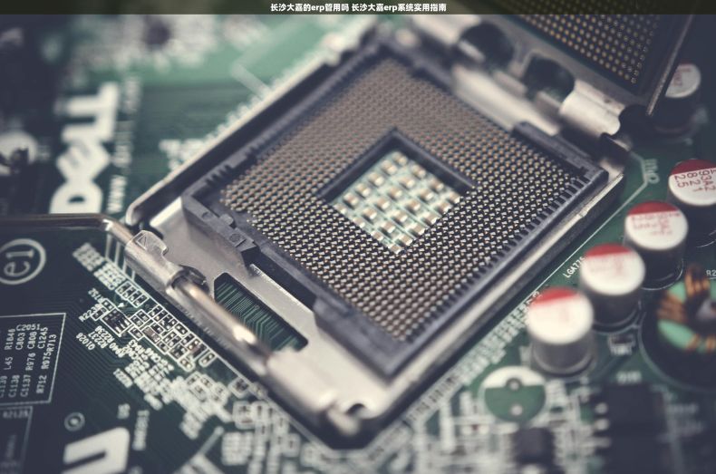 长沙大嘉的erp管用吗 长沙大嘉erp系统实用指南