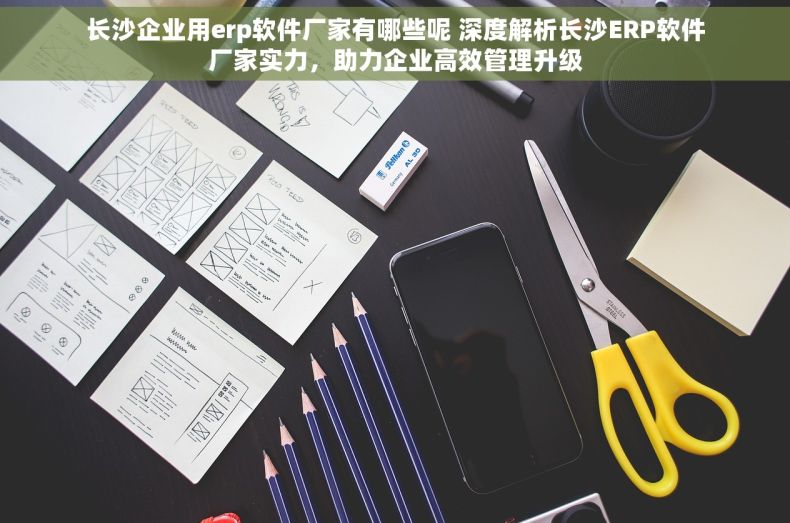 长沙企业用erp软件厂家有哪些呢 深度解析长沙ERP软件厂家实力，助力企业高效管理升级