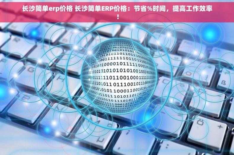 长沙简单erp价格 长沙简单ERP价格：节省%时间，提高工作效率！