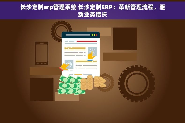长沙定制erp管理系统 长沙定制ERP：革新管理流程，驱动业务增长