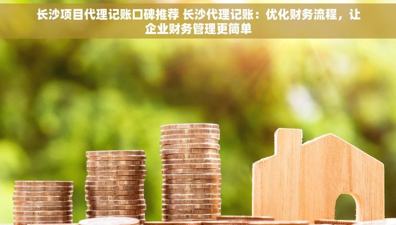 长沙项目代理记账口碑推荐 长沙代理记账：优化财务流程，让企业财务管理更简单