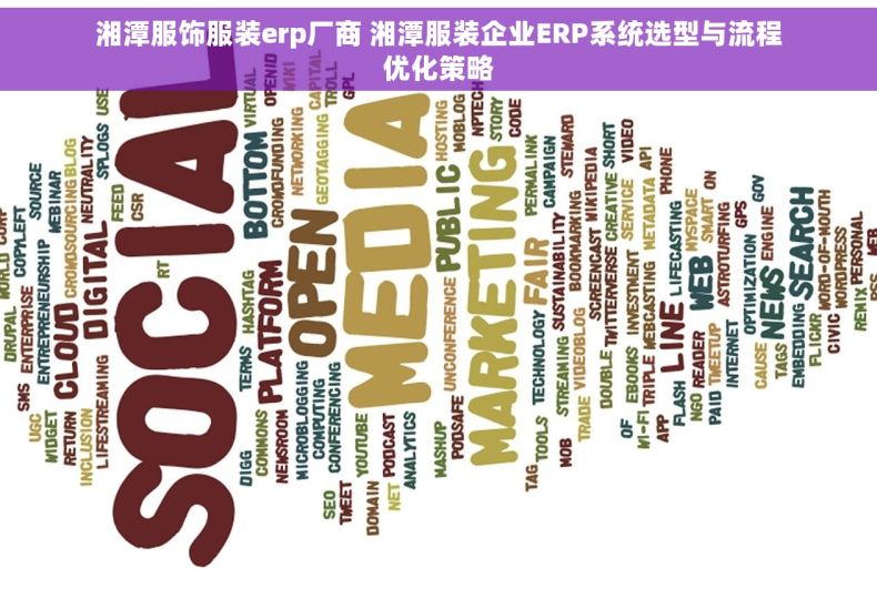 湘潭服饰服装erp厂商 湘潭服装企业ERP系统选型与流程优化策略