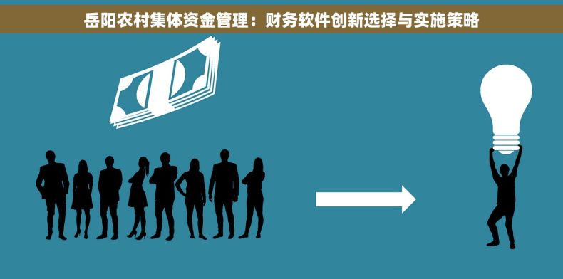 岳阳农村集体资金管理：财务软件创新选择与实施策略