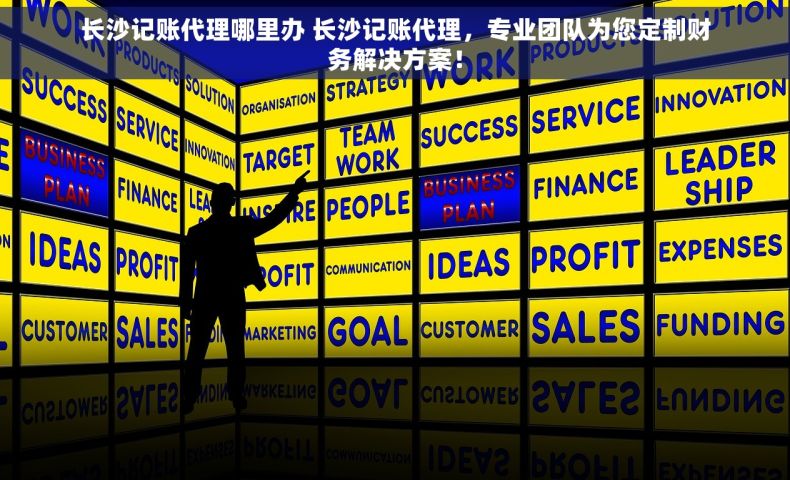 长沙记账代理哪里办 长沙记账代理，专业团队为您定制财务解决方案！