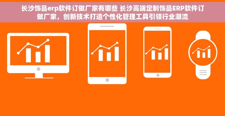 长沙饰品erp软件订做厂家有哪些 长沙高端定制饰品ERP软件订做厂家，创新技术打造个性化管理工具引领行业潮流