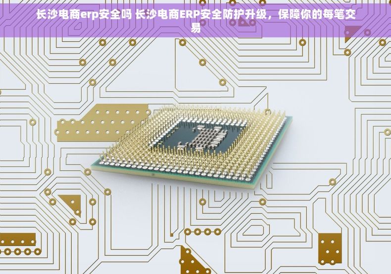 长沙电商erp安全吗 长沙电商ERP安全防护升级，保障你的每笔交易