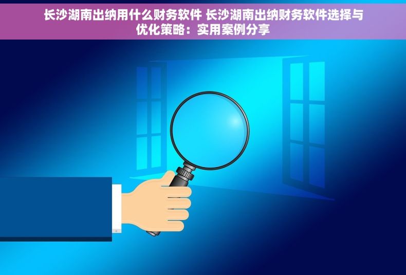 长沙湖南出纳用什么财务软件 长沙湖南出纳财务软件选择与优化策略：实用案例分享