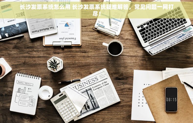 长沙发票系统怎么用 长沙发票系统疑难解答，常见问题一网打尽！