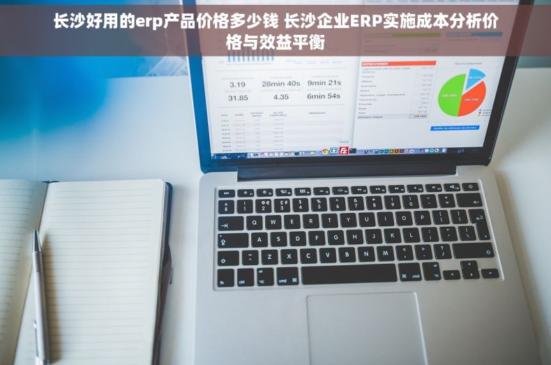 长沙好用的erp产品价格多少钱 长沙企业ERP实施成本分析价格与效益平衡