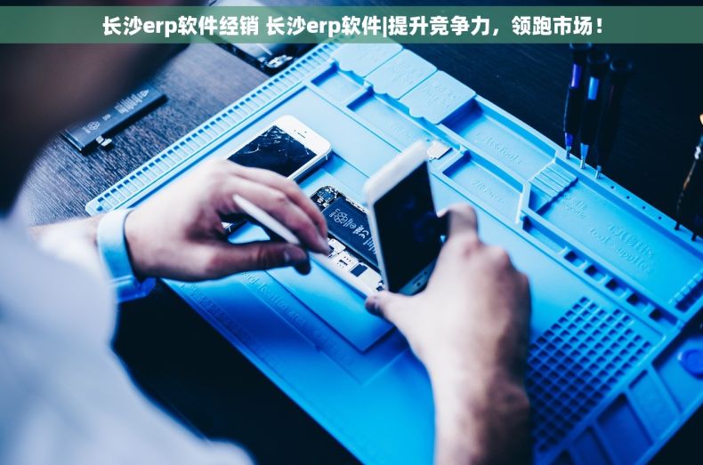长沙erp软件经销 长沙erp软件|提升竞争力，领跑市场！