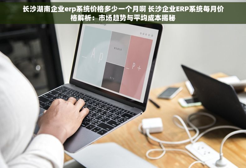 长沙湖南企业erp系统价格多少一个月啊 长沙企业ERP系统每月价格解析：市场趋势与平均成本揭秘