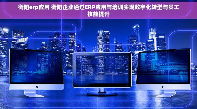 衡阳erp应用 衡阳企业通过ERP应用与培训实现数字化转型与员工技能提升