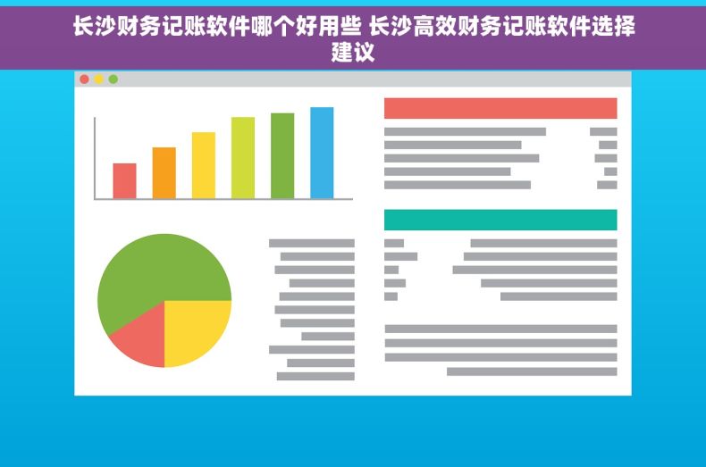 长沙财务记账软件哪个好用些 长沙高效财务记账软件选择建议