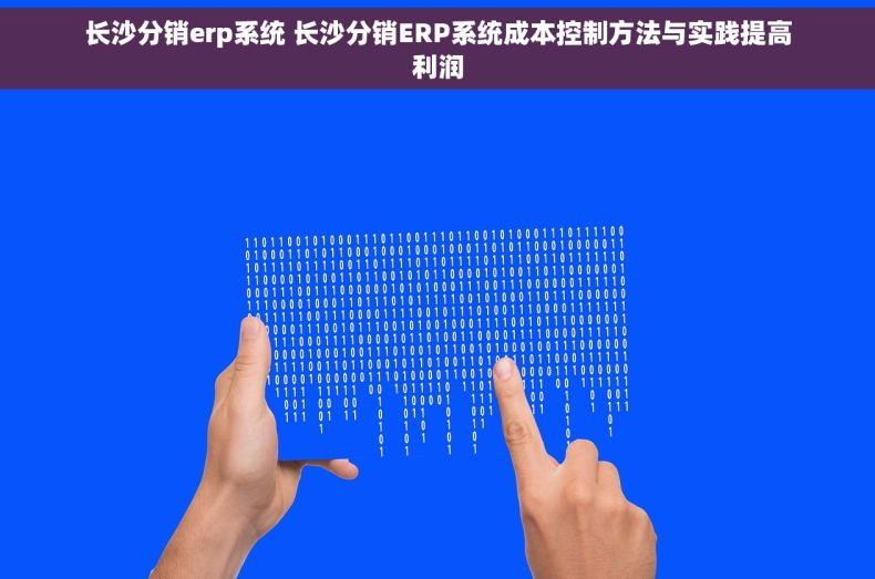 长沙分销erp系统 长沙分销ERP系统成本控制方法与实践提高利润