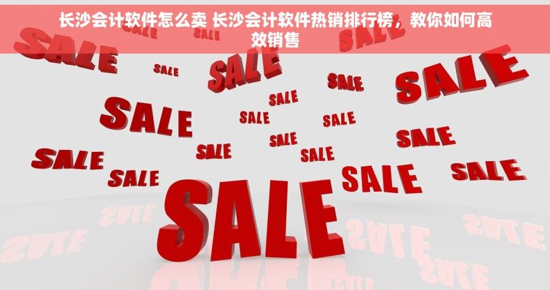 长沙会计软件怎么卖 长沙会计软件热销排行榜，教你如何高效销售