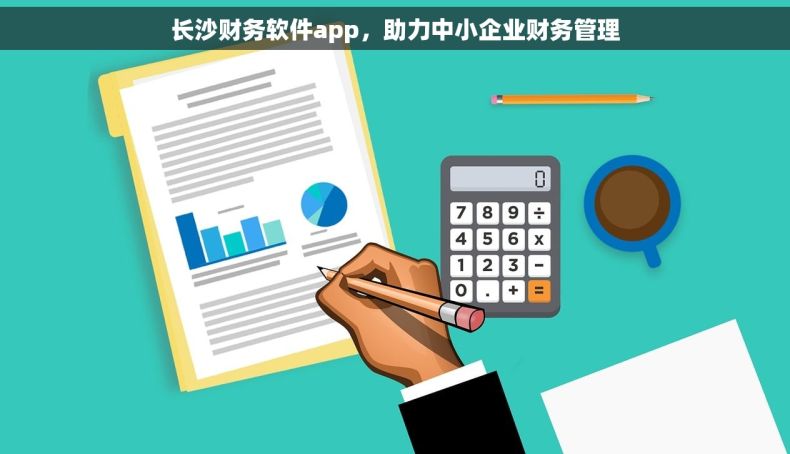 长沙财务软件app，助力中小企业财务管理