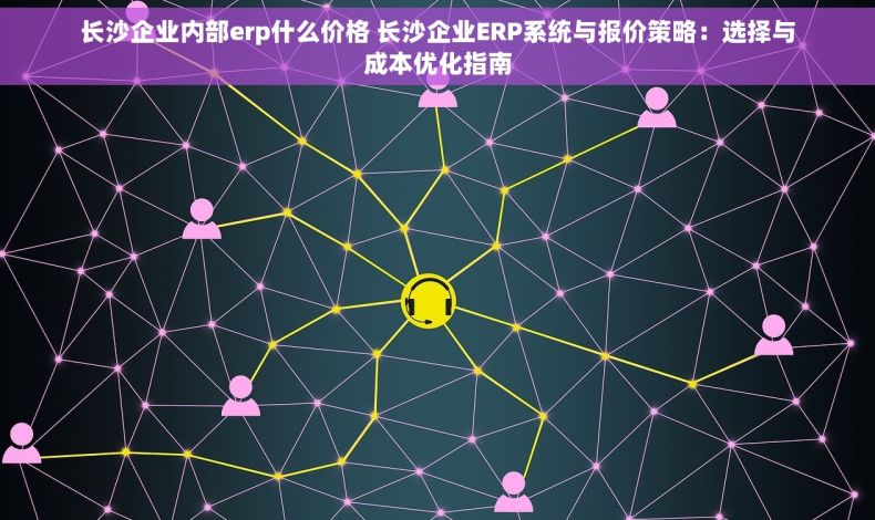 长沙企业内部erp什么价格 长沙企业ERP系统与报价策略：选择与成本优化指南
