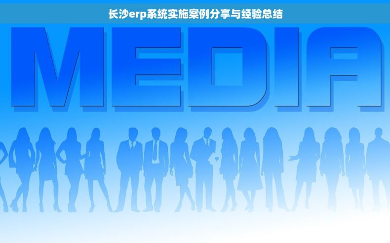 长沙erp系统实施案例分享与经验总结