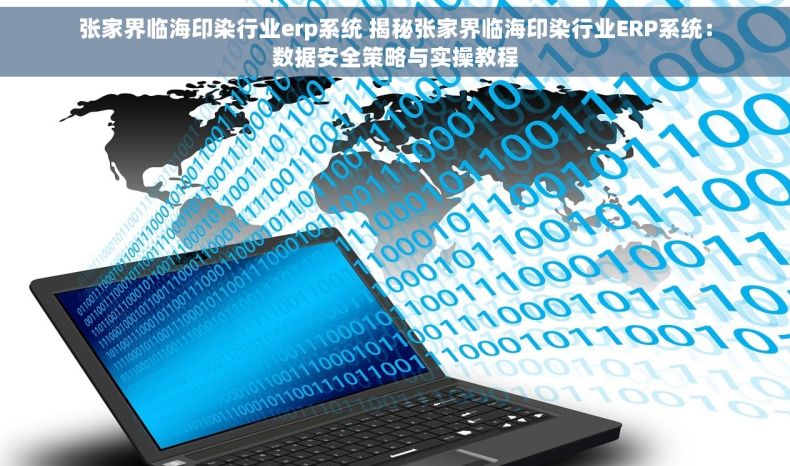张家界临海印染行业erp系统 揭秘张家界临海印染行业ERP系统：数据安全策略与实操教程