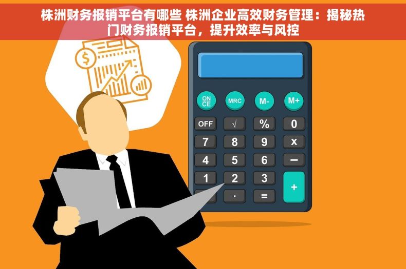 株洲财务报销平台有哪些 株洲企业高效财务管理：揭秘热门财务报销平台，提升效率与风控