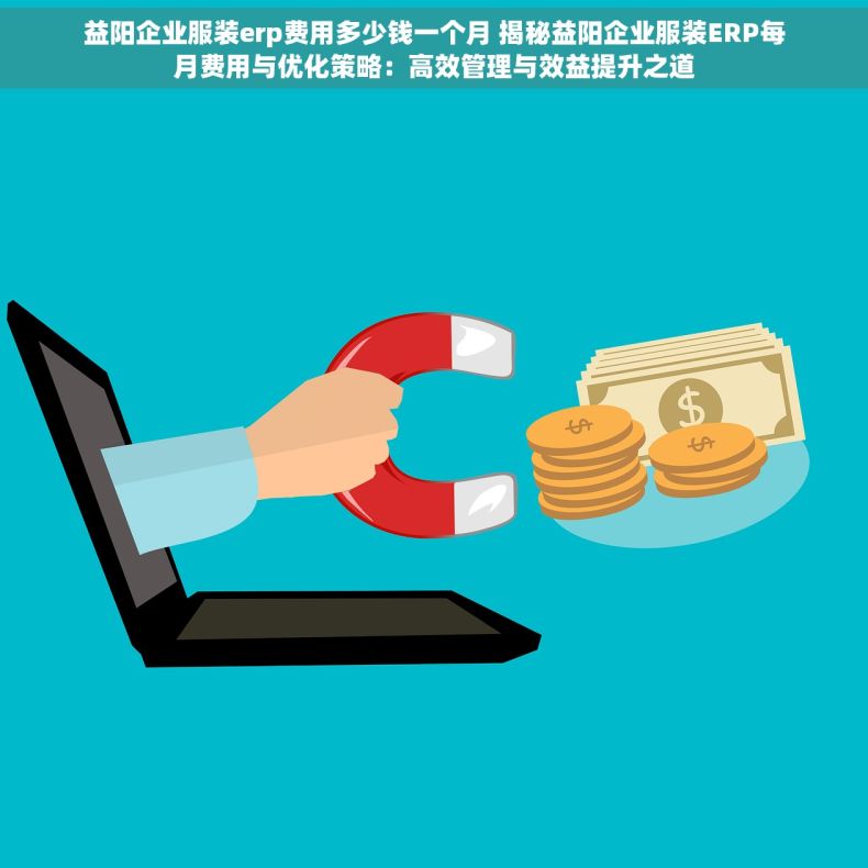 益阳企业服装erp费用多少钱一个月 揭秘益阳企业服装ERP每月费用与优化策略：高效管理与效益提升之道