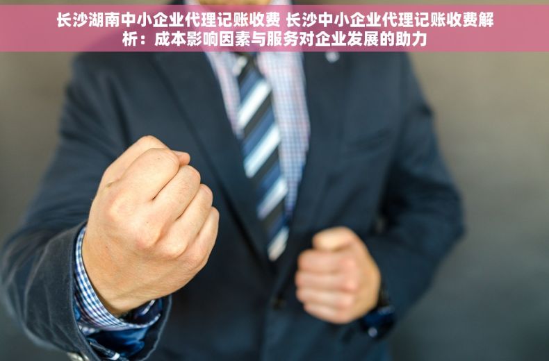 长沙湖南中小企业代理记账收费 长沙中小企业代理记账收费解析：成本影响因素与服务对企业发展的助力