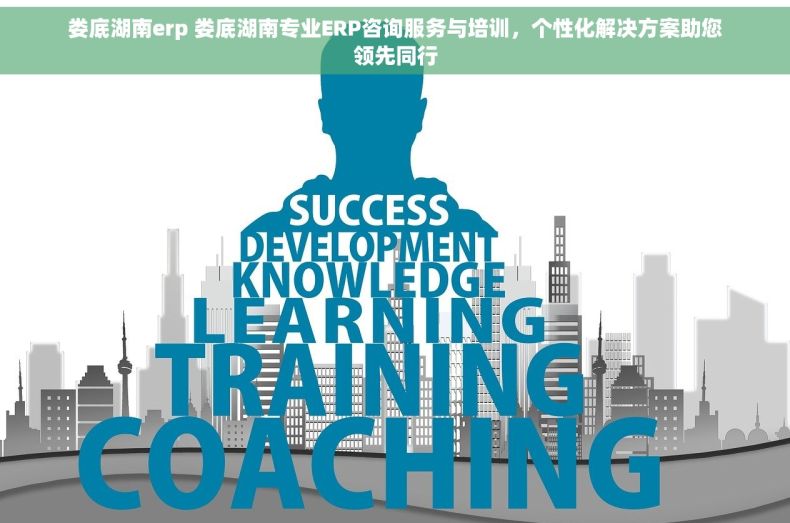 娄底湖南erp 娄底湖南专业ERP咨询服务与培训，个性化解决方案助您领先同行